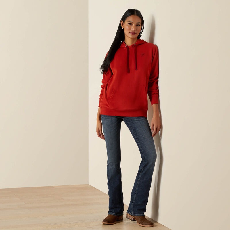 WMS Ariat Logo 2.0 Hoodie