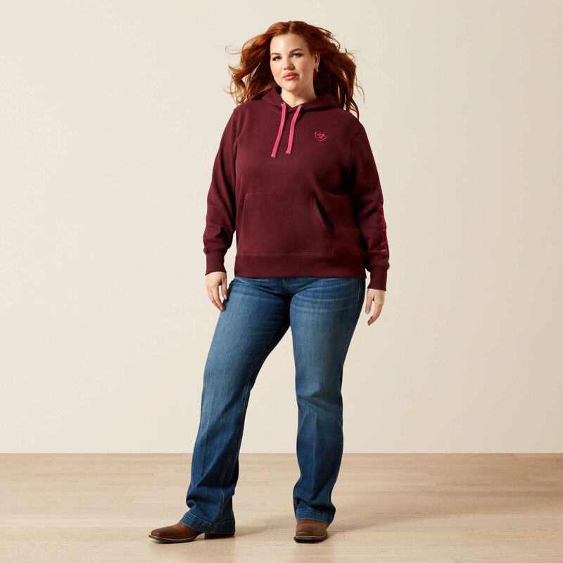 WMS Ariat Logo 2.0 Hoodie